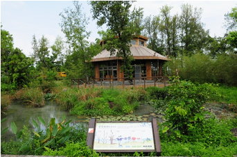 水生植物池與竹屋