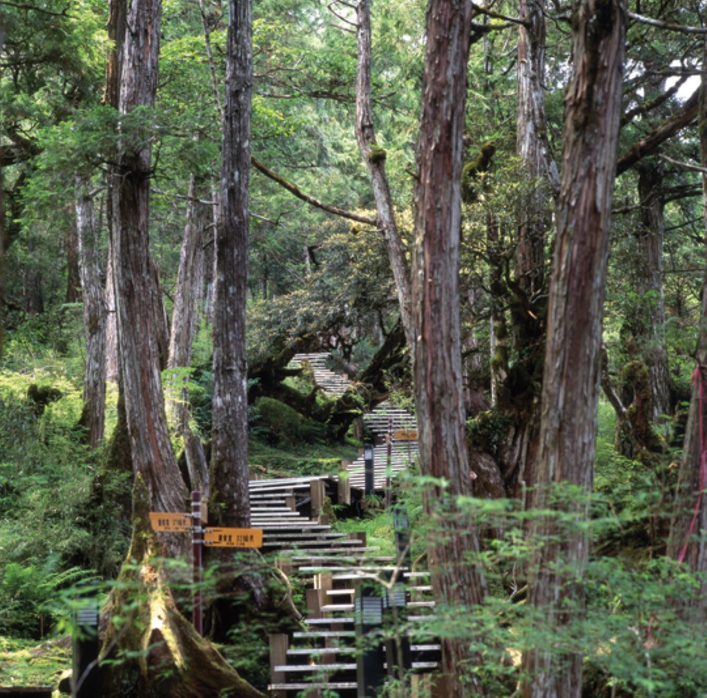 檜木原始林步道