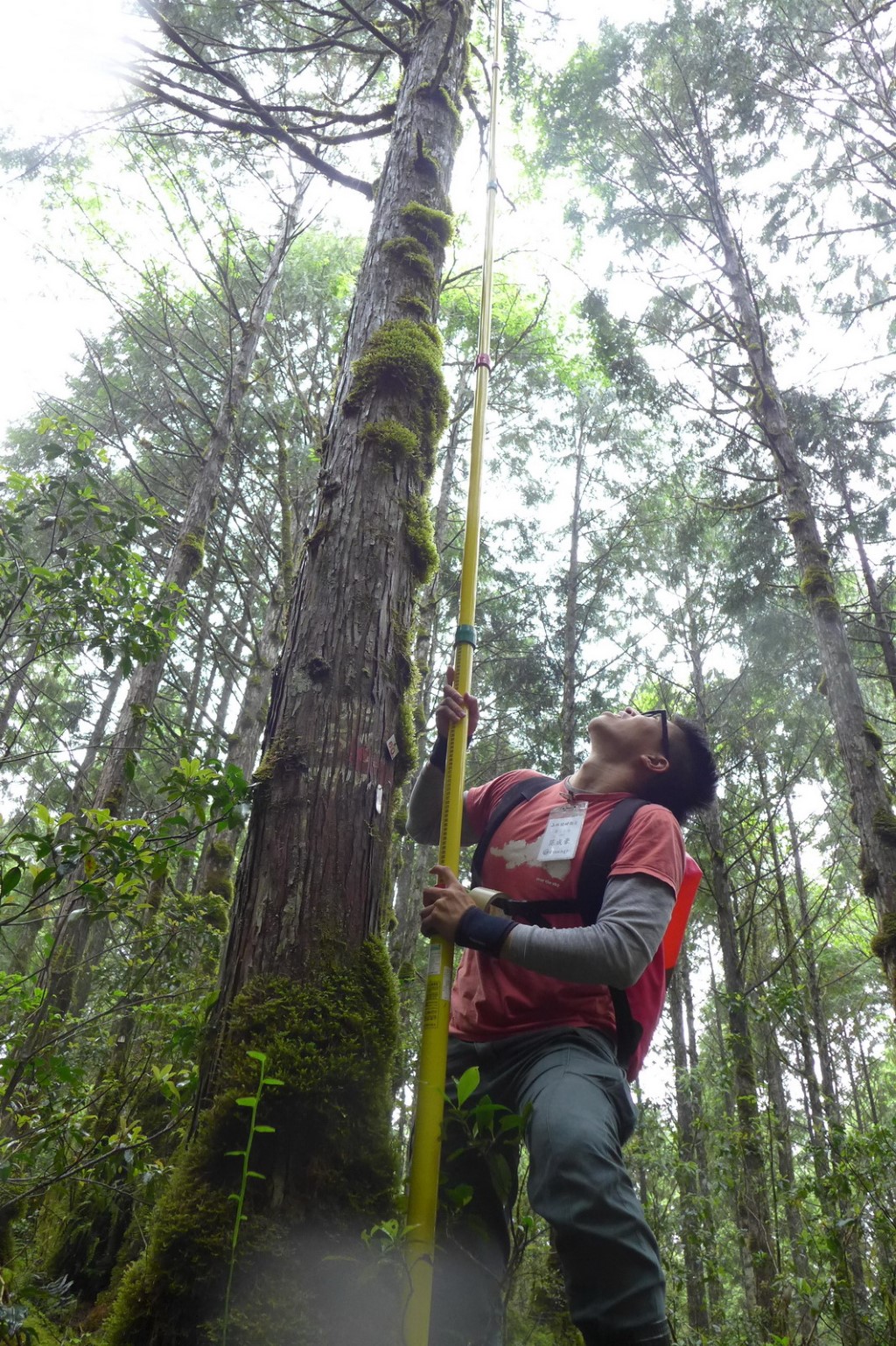 森林關鍵報告-森林調查實境體驗