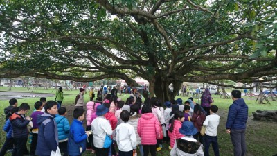 七星綠美化基金會與小學生們介紹老樹