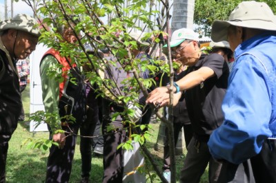 羅東林區管理處國際認證樹藝師帶領民眾親自操作護樹方式
