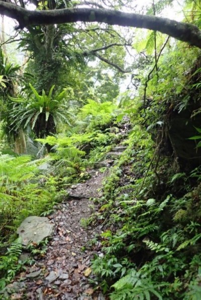 宜蘭縣愛南澳生態旅遊發展協會手作步道土石階梯改善前