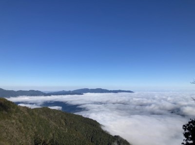 太平山雲海景致