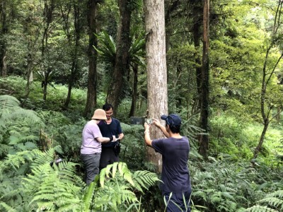 守護森林資源「森」力軍-羅東林區管理處招考森林護管員2