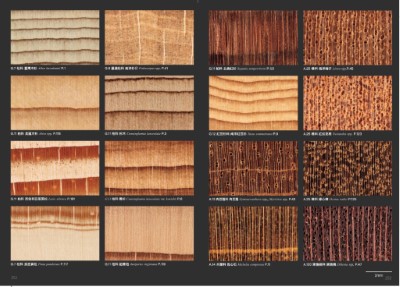 《臺灣常見商用木材圖鑑》呈現240種橫切面的組織分布圖
